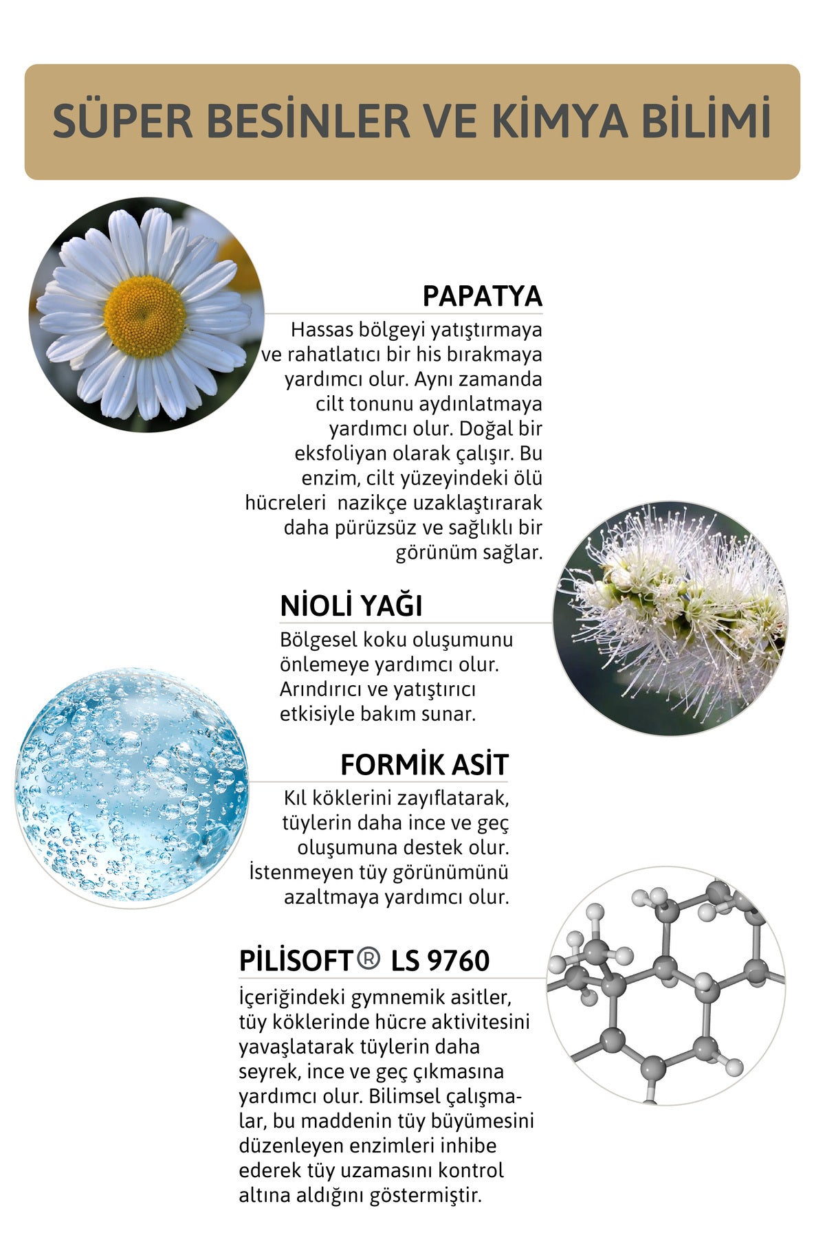 Ant Eggs İntim Jel