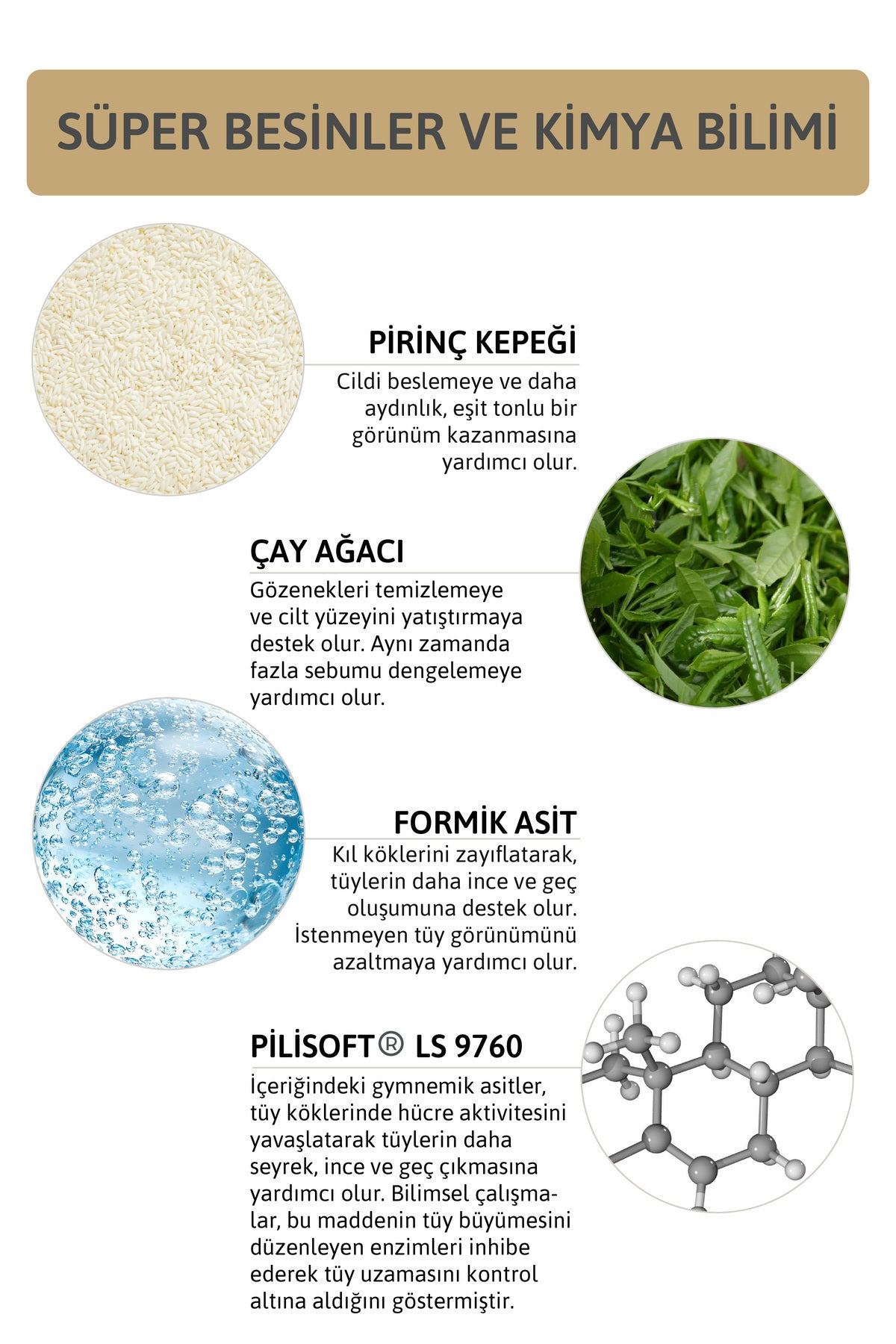 Ant Eggs Roll On
