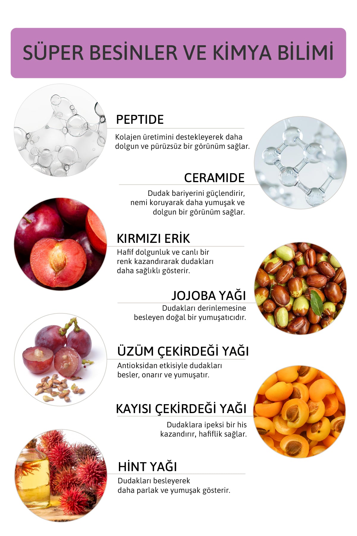 Peptide Lip Balm Muted Plum, Nemlendirici, Parlatıcı Lip Balm Mürdüm Ceramide Vitamin E 15mL