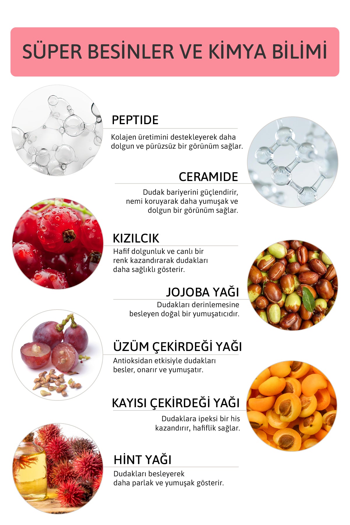Peptide Lip Balm Cranberry, Nemlendirici, Parlatıcı Lip Balm Kızılcık Ceramide Vitamin E 15mL