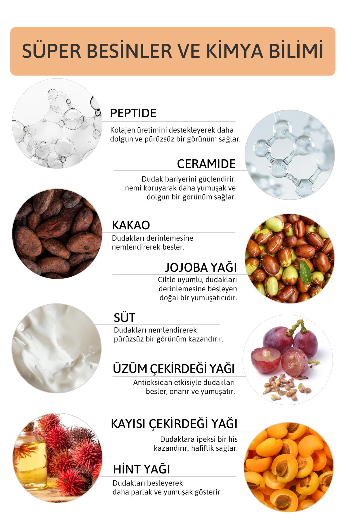 Peptide Lip Balm Cacao Milk , Nemlendirici, Parlatıcı Lip Balm Kakao Ceramide Vitamin E 15mL