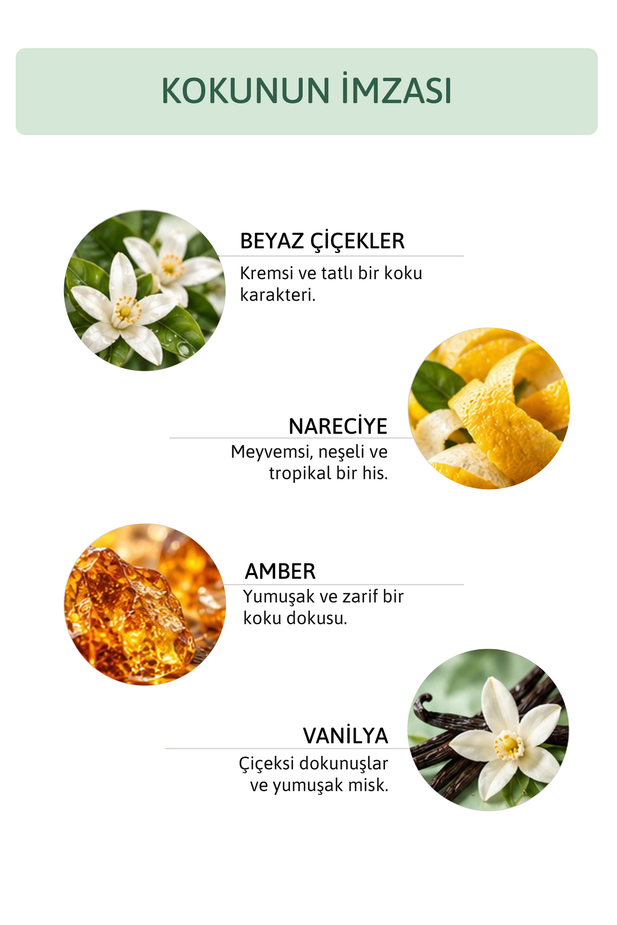 Aveline Beyaz Çiçek, Narenciye, Amber ve Vanilya Notalı Kokulu Saç ve Vücut Spreyi 200 ml