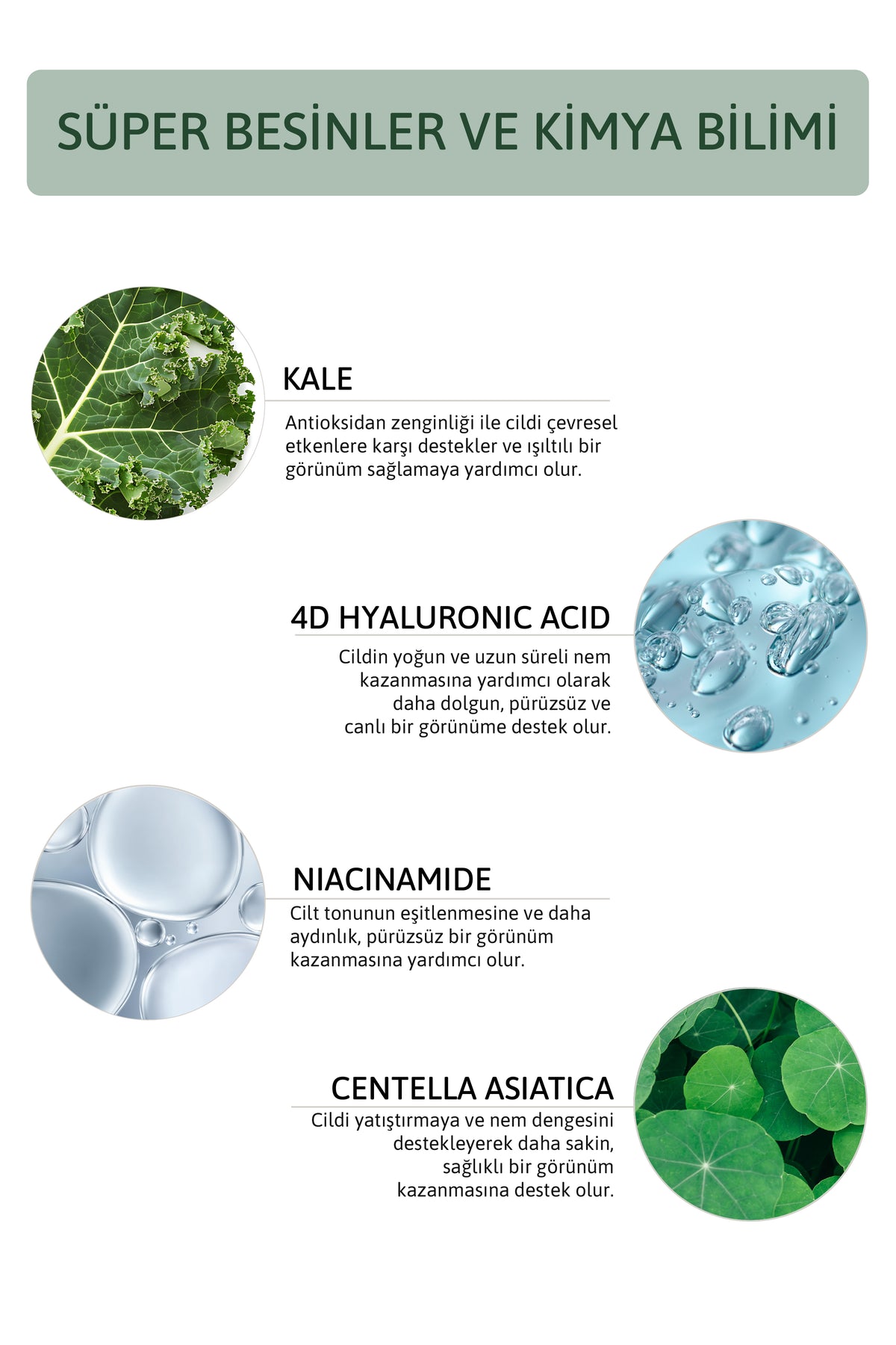 Sivilce & Kızarıklık Karşıtı, Sebum Dengeleyici Yüz Kremi 50 ml
