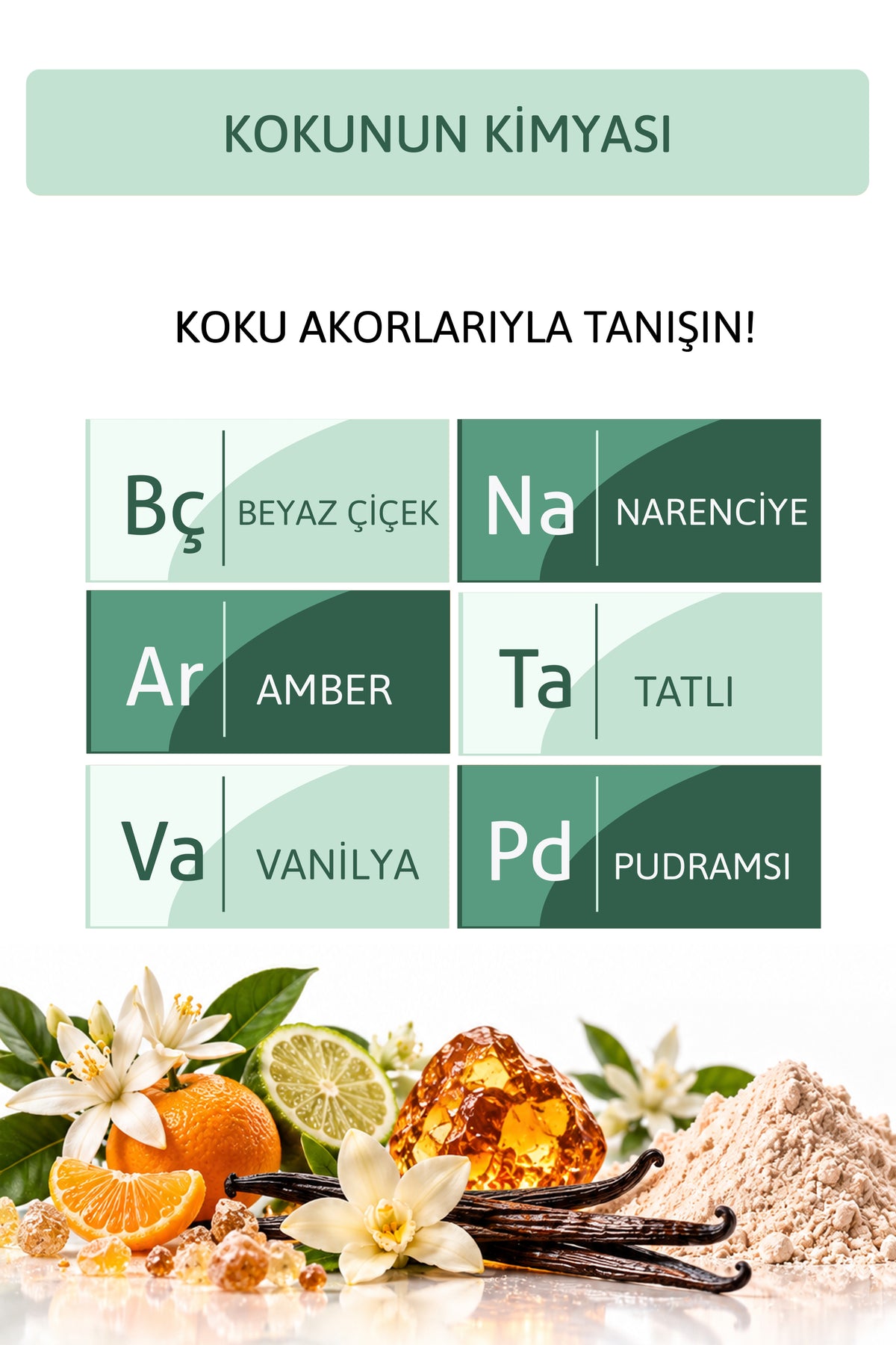 Aveline Beyaz Çiçek, Narenciye, Amber ve Vanilya Notalı Kokulu Saç ve Vücut Spreyi 200 ml